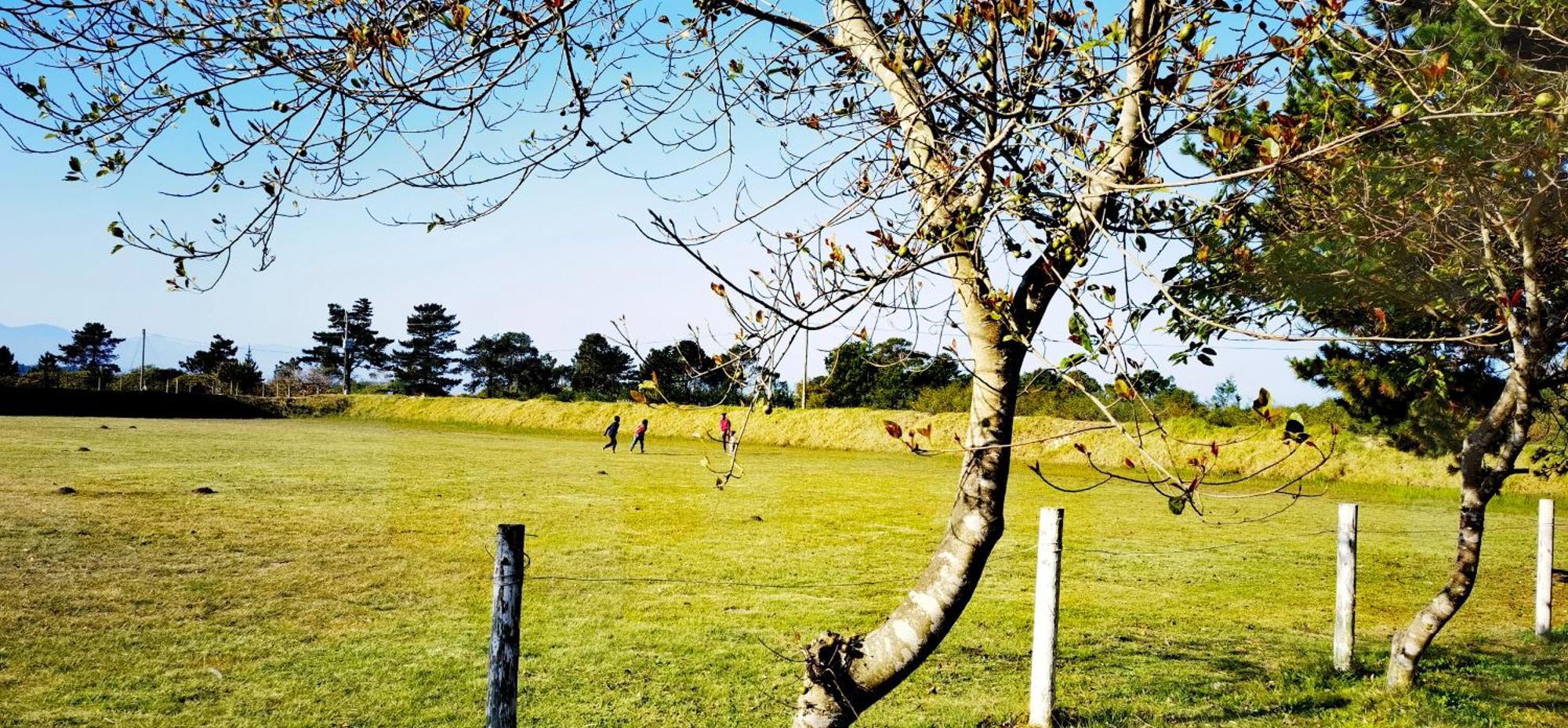 Moonsong Accommodation & Camping Plettenberg Bay Eksteriør billede