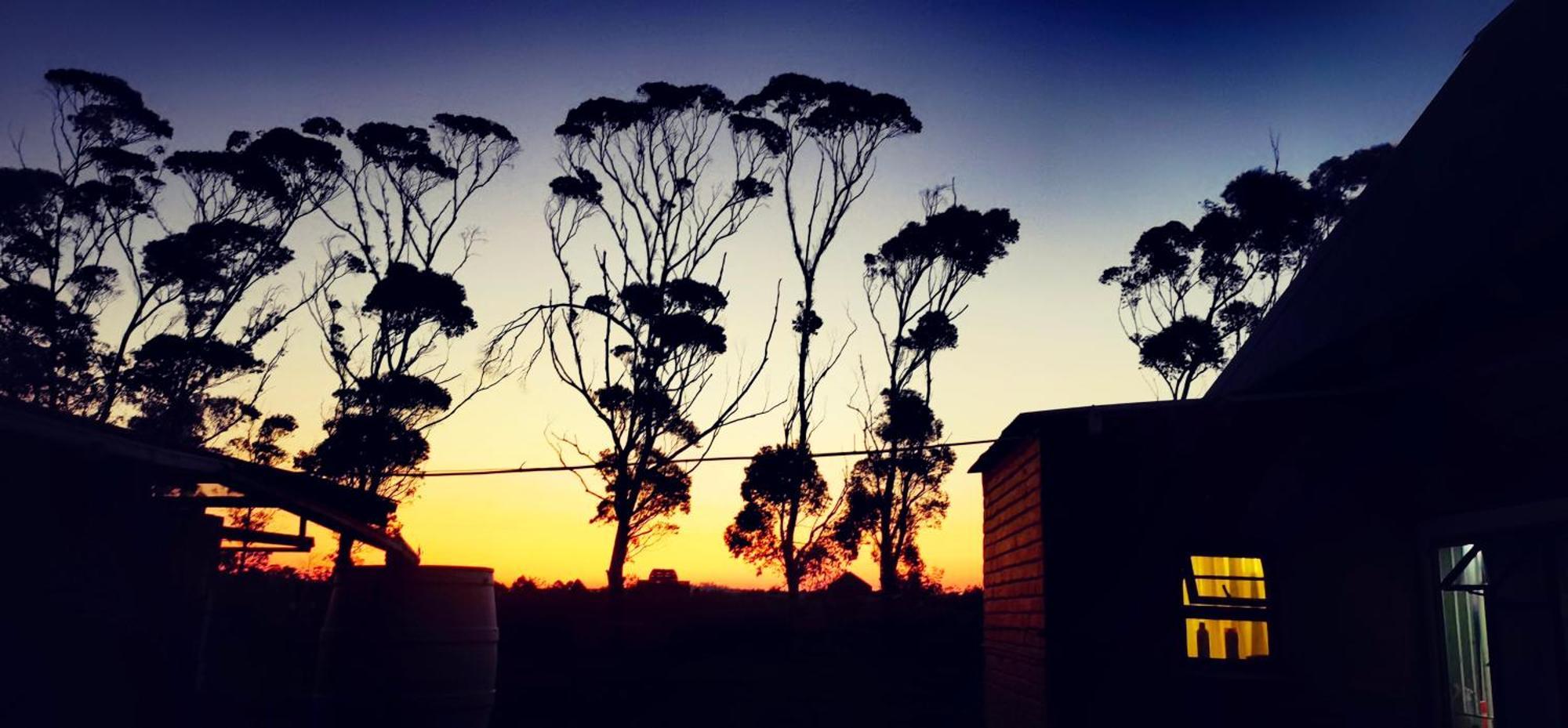 Moonsong Accommodation & Camping Plettenberg Bay Eksteriør billede