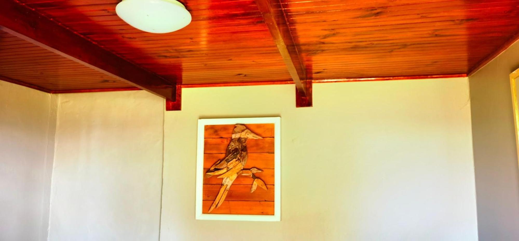 Moonsong Accommodation & Camping Plettenberg Bay Eksteriør billede