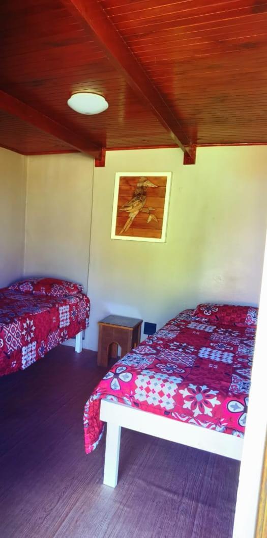 Moonsong Accommodation & Camping Plettenberg Bay Eksteriør billede